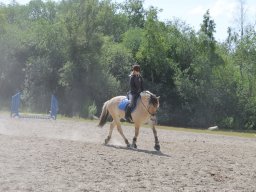 img_3502_web